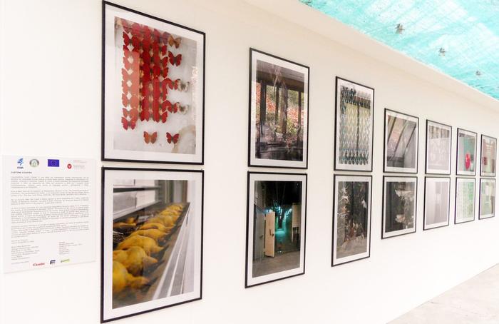 Parete espositiva con le fotografie incorniciate di Justine Cooper e il pannello di sala