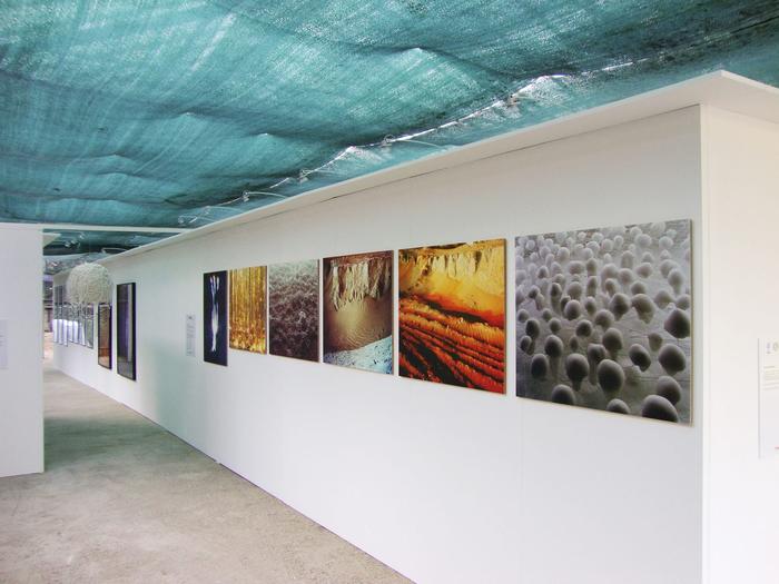 Lungo corridoio bianco con grandi stampe fotografiche e telo ombreggiante verde acqua sul soffitto