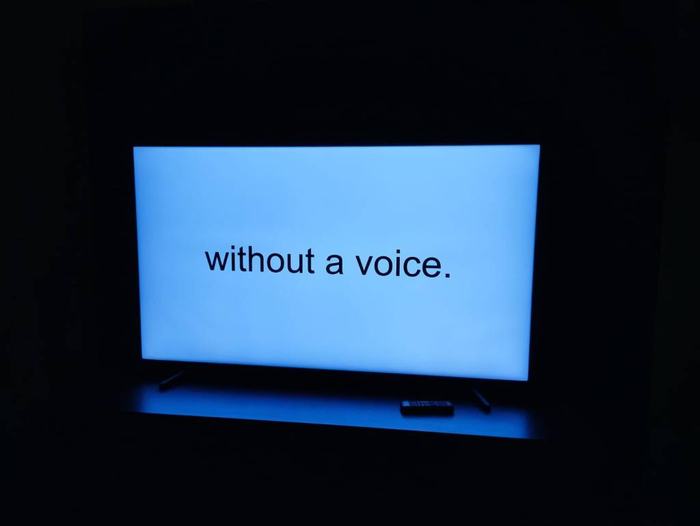 A screen in a dark room showing the words 'without a voice.'