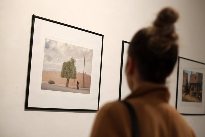 Visitatrice, sfocata in primo piano, osserva una fotografia di un albero e una donna in strada