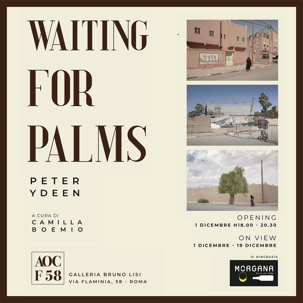 Locandina ufficiale della mostra Waiting for Palms di Peter Ydeen, a cura di Camilla Boemio, AOC F58 Galleria Bruno Lisi