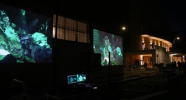 Gallery 03
